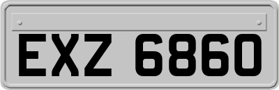 EXZ6860