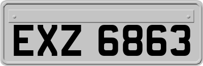 EXZ6863