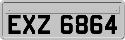 EXZ6864