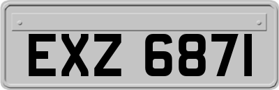 EXZ6871