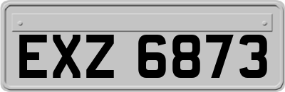 EXZ6873