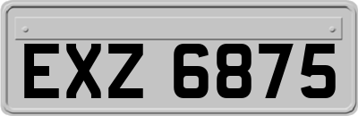 EXZ6875