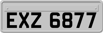 EXZ6877