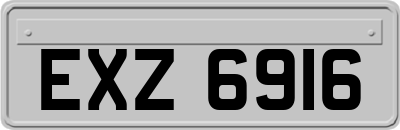 EXZ6916