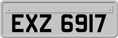 EXZ6917