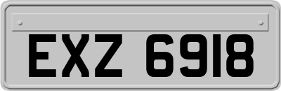 EXZ6918