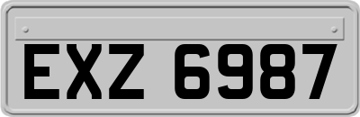 EXZ6987