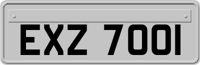 EXZ7001