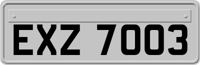EXZ7003