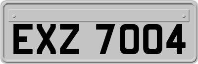 EXZ7004