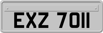 EXZ7011