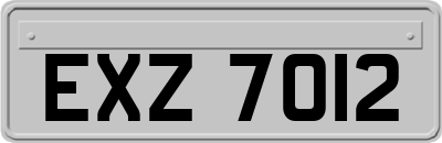EXZ7012
