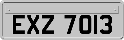 EXZ7013