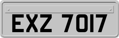 EXZ7017
