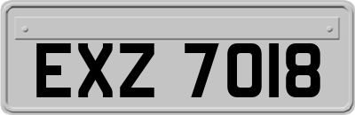 EXZ7018