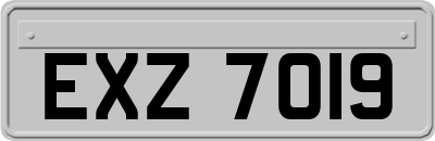 EXZ7019