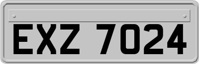 EXZ7024