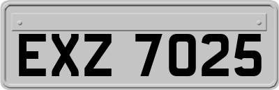 EXZ7025