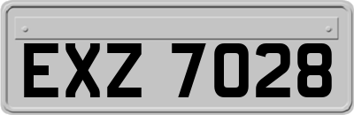 EXZ7028