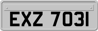 EXZ7031