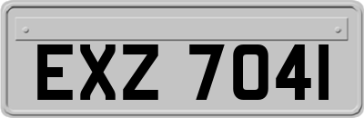 EXZ7041
