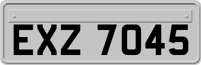 EXZ7045