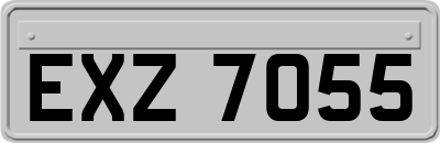 EXZ7055