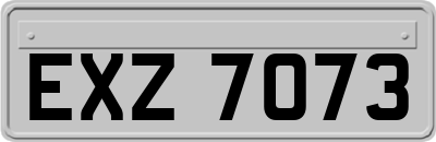 EXZ7073