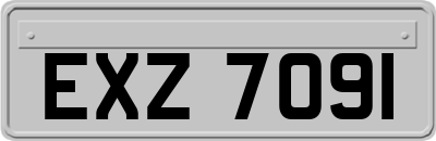 EXZ7091