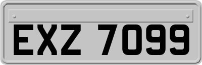 EXZ7099
