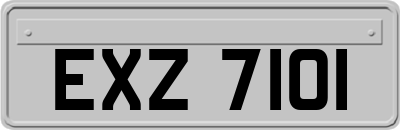 EXZ7101