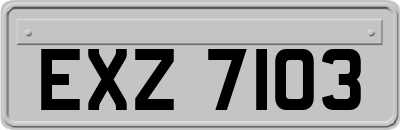 EXZ7103