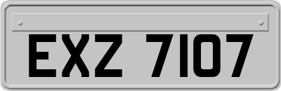 EXZ7107