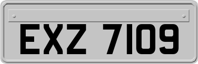 EXZ7109