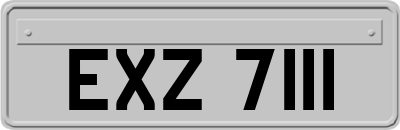 EXZ7111