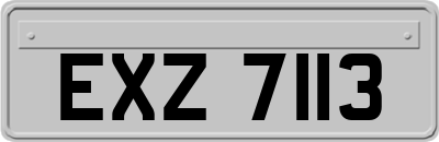 EXZ7113