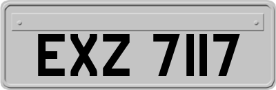 EXZ7117