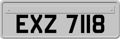 EXZ7118