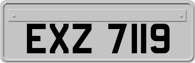 EXZ7119