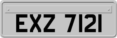 EXZ7121