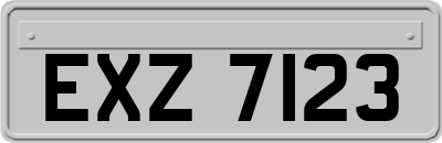 EXZ7123