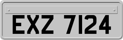EXZ7124