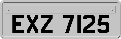 EXZ7125