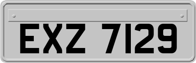 EXZ7129