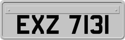 EXZ7131