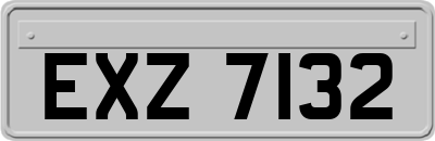 EXZ7132