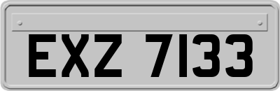 EXZ7133