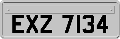 EXZ7134