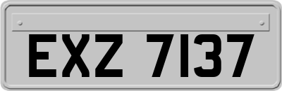 EXZ7137