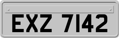 EXZ7142